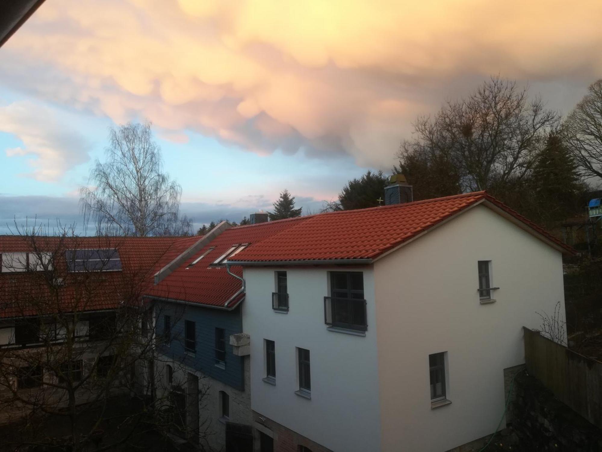 Ferienhof"Waldesel Rippersroda" מראה חיצוני תמונה