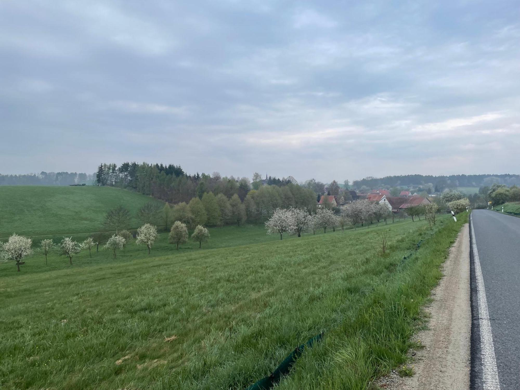 Ferienhof"Waldesel Rippersroda" מראה חיצוני תמונה