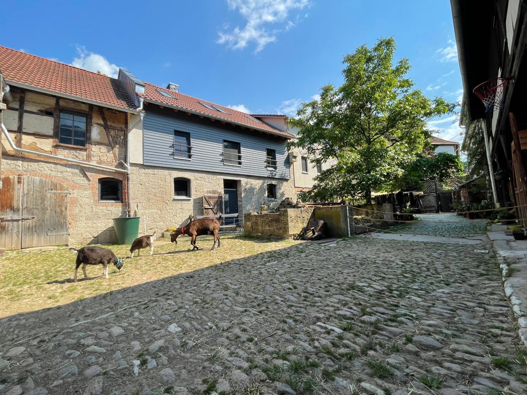 Ferienhof"Waldesel Rippersroda" מראה חיצוני תמונה