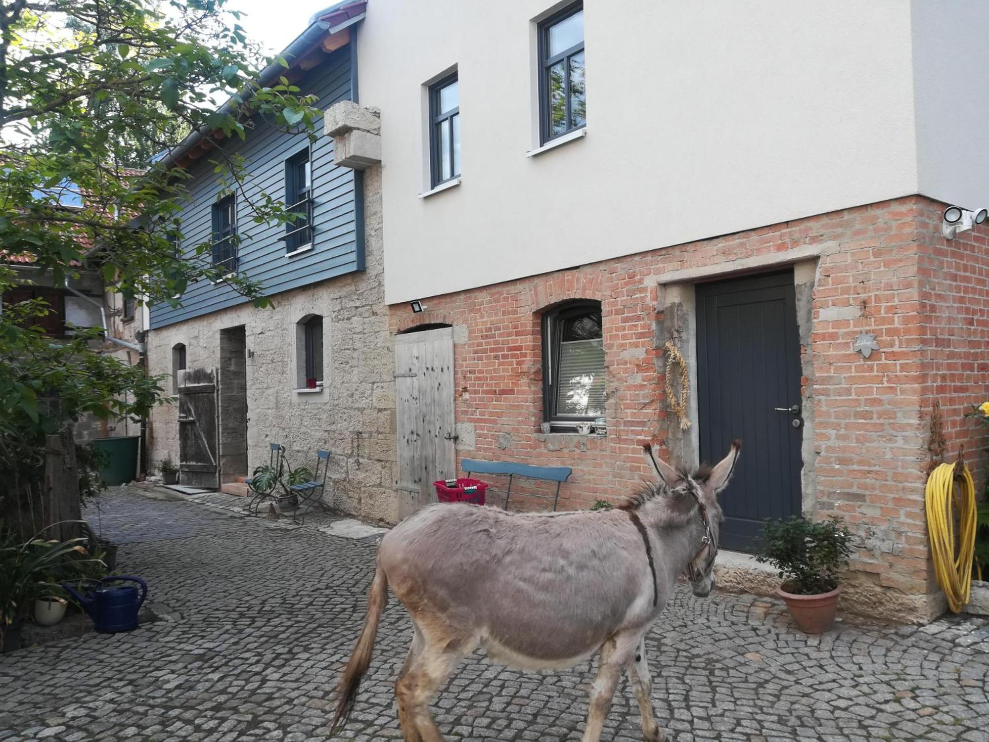 Ferienhof"Waldesel Rippersroda" מראה חיצוני תמונה