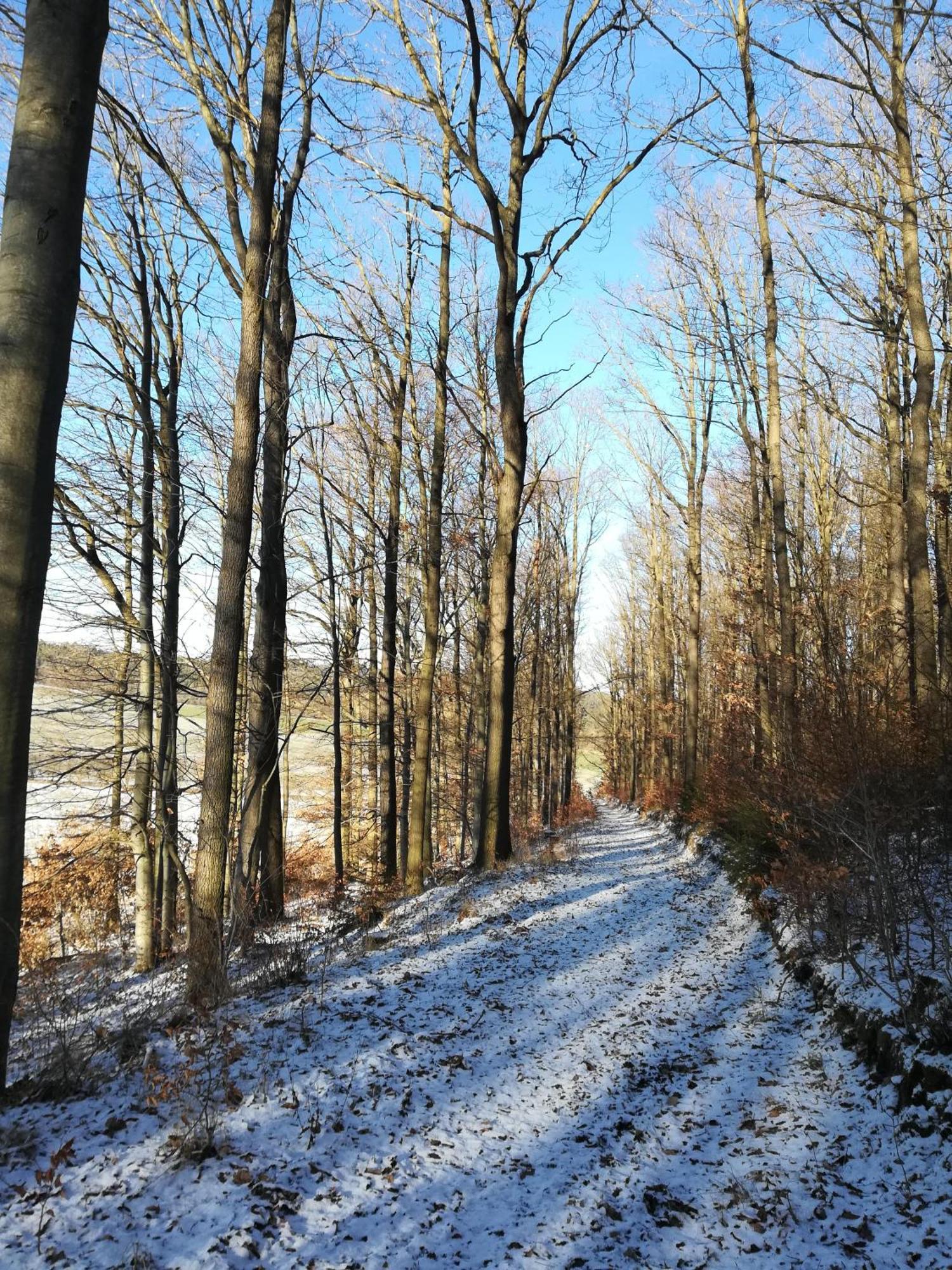 Ferienhof"Waldesel Rippersroda" מראה חיצוני תמונה