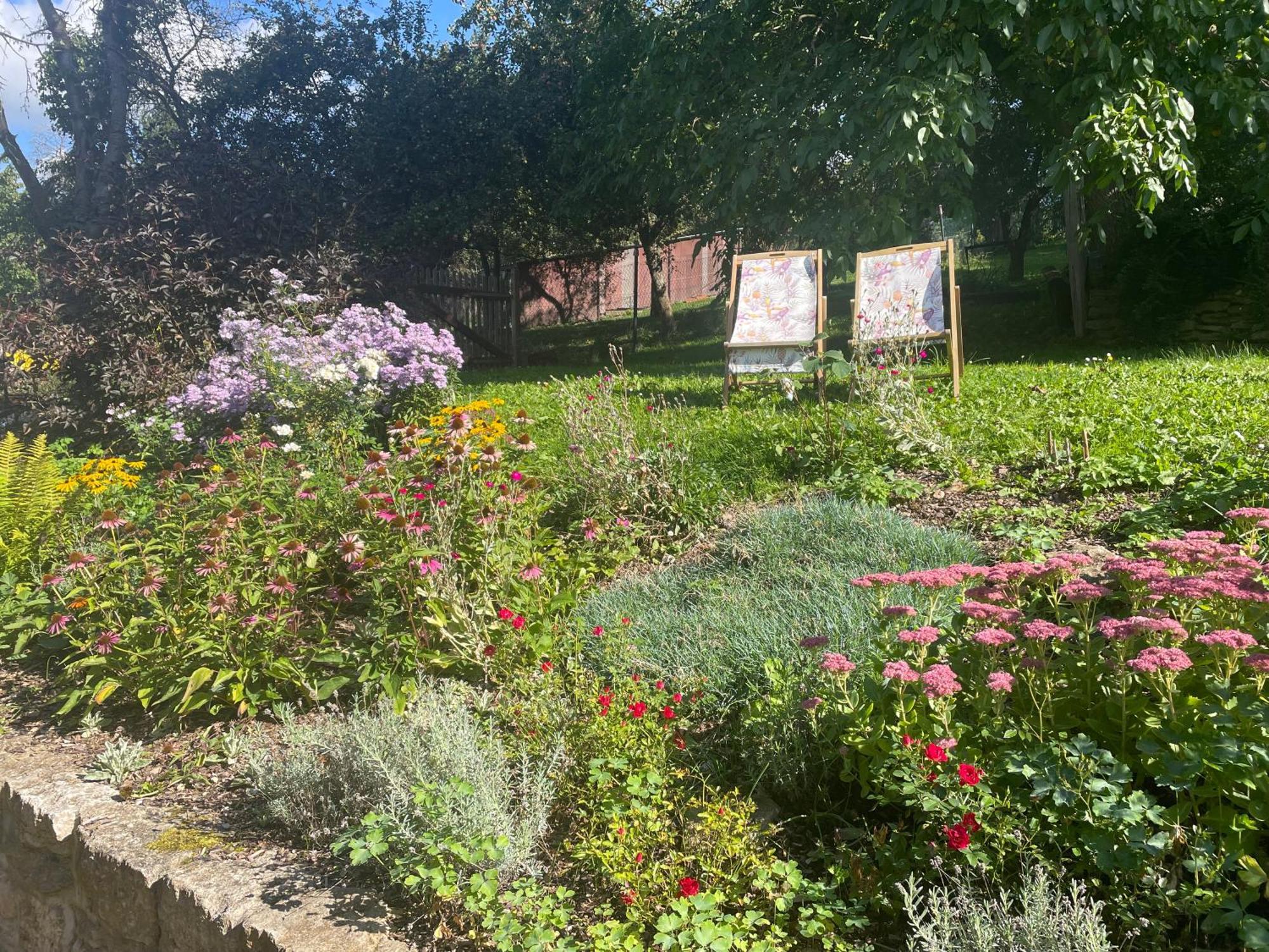 Ferienhof"Waldesel Rippersroda" מראה חיצוני תמונה