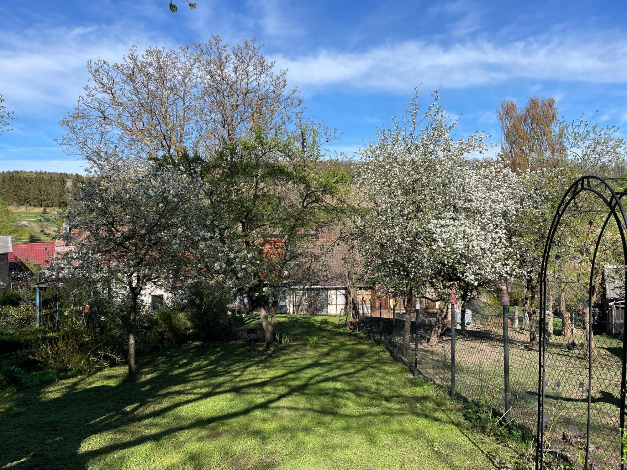 Ferienhof"Waldesel Rippersroda" מראה חיצוני תמונה