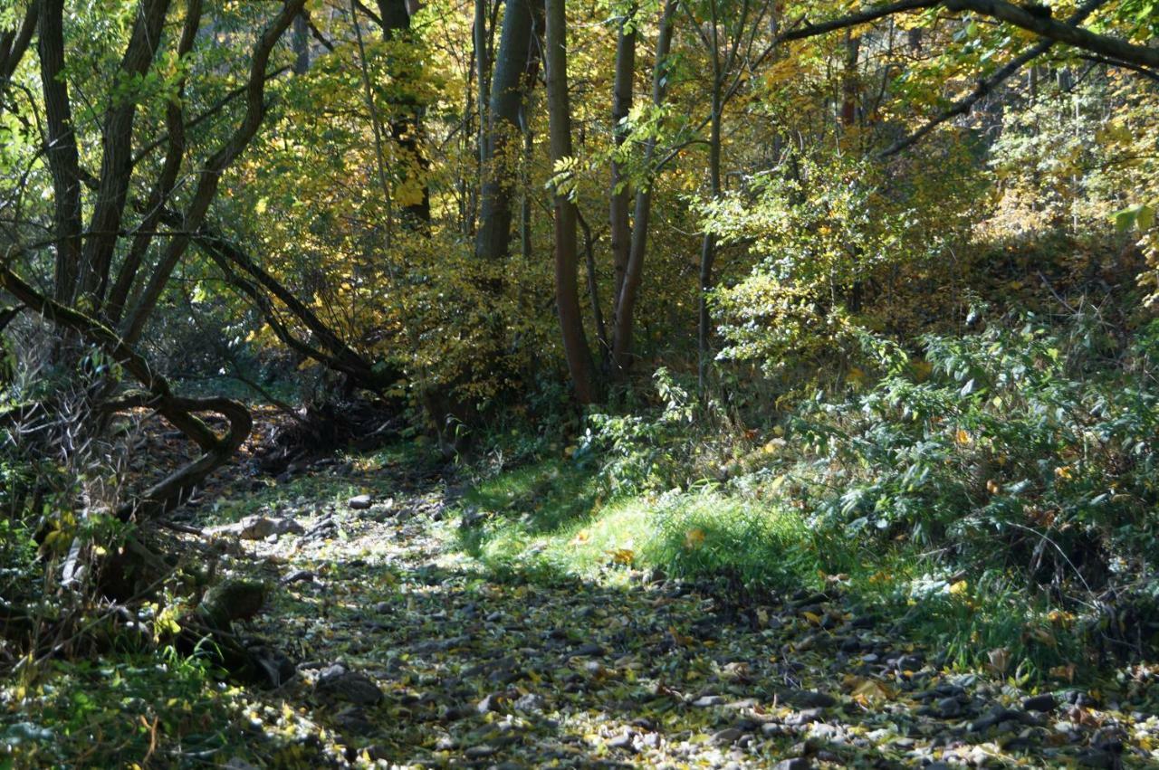 Ferienhof"Waldesel Rippersroda" מראה חיצוני תמונה